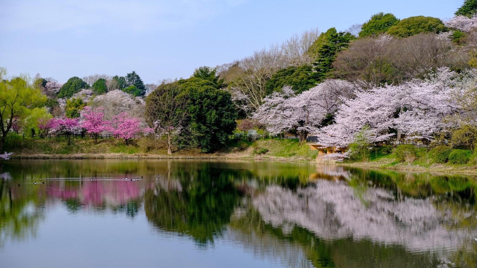 Toyoko Inn Yokohama Tsurumi Eki Higashi Guchi Esterno foto